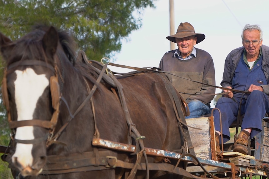 Maurice Henry and Maurice Hunter riding a horse and cart