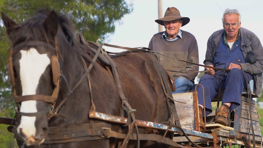 Maurice Henry and Maurice Hunter riding a horse and cart