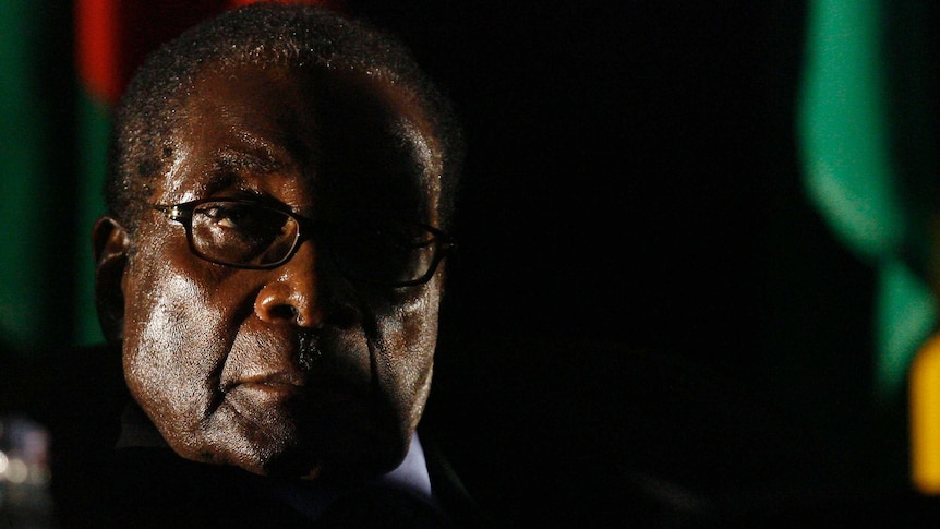 Zimbabwean President Robert Mugabe stands in the shadows near a south african flag at an official summit