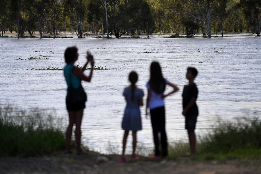 A family inspects the swollen Fitzroy river in Rockhampton.