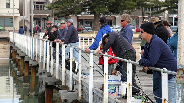 fishing from a jetty