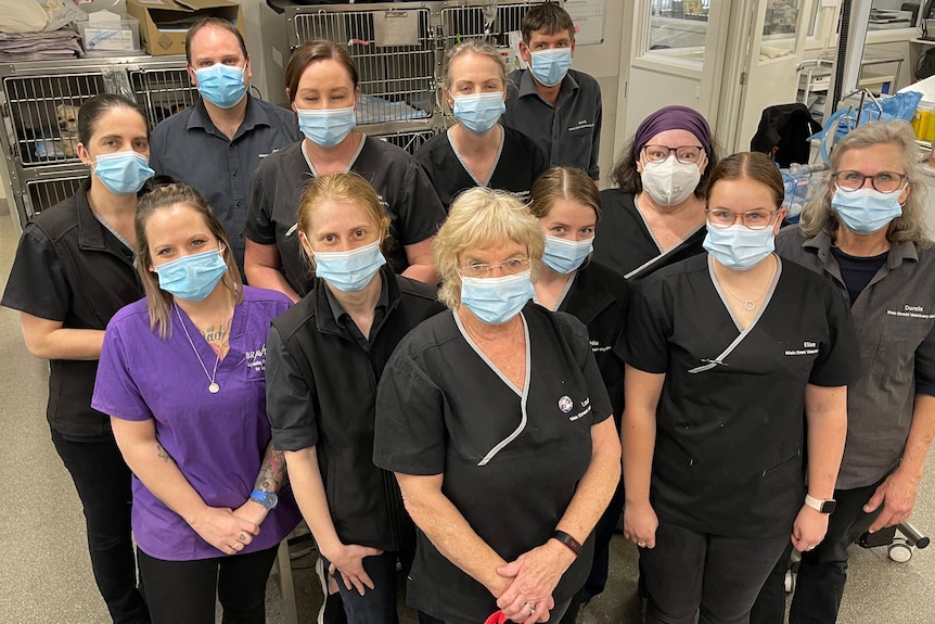 group photo of vet nurses in uniforms.