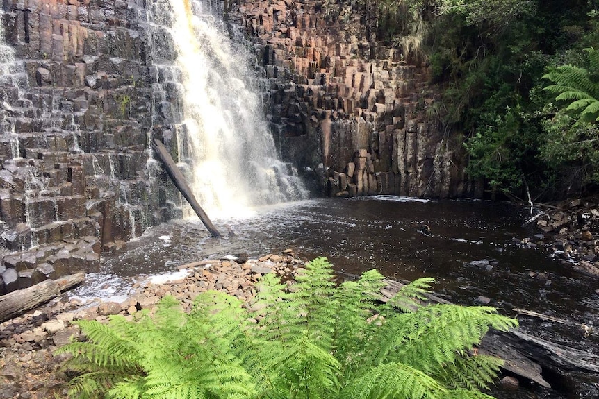 Picture of a waterfall, surrounded by rocks and ferns