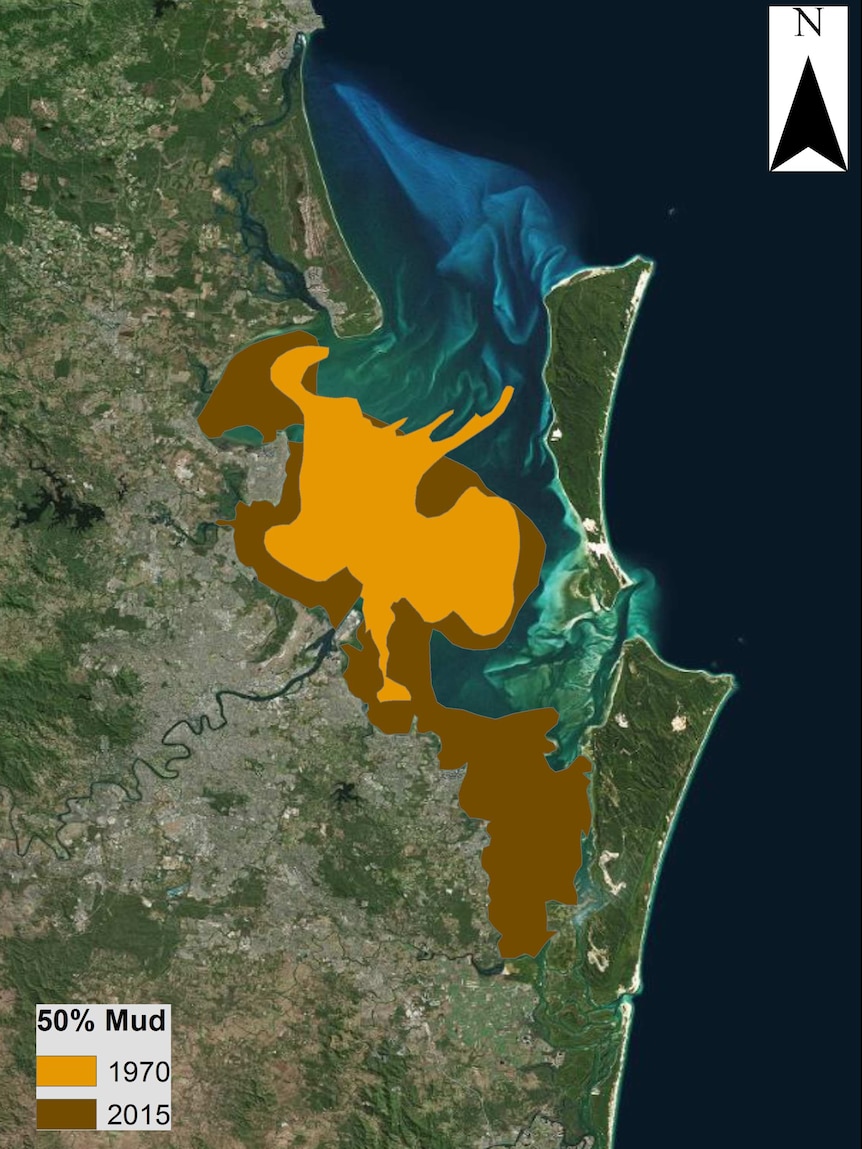 A map showing how the area of mud in Moreton Bay has changed over time.