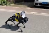 An image of a robot with four legs walking down the street with a speaker strapped to it