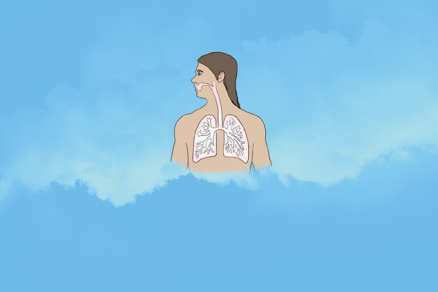 A diagram of a human torso. There is white vapour in the lungs.