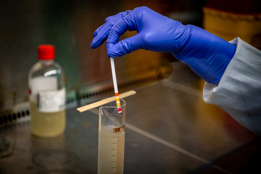 A hand testing in a beaker