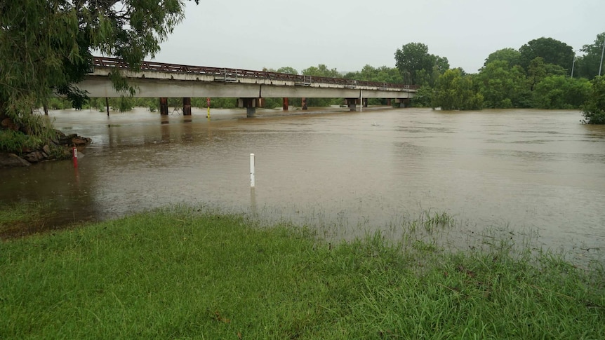 Brown-looking water rising above the banks of a river.