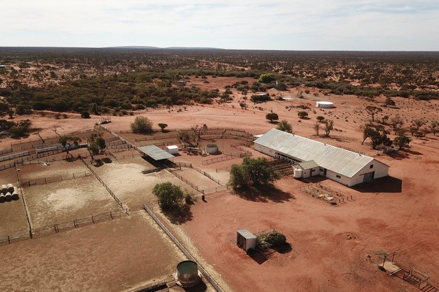 An aerial of a big metal shed and stockyards on dark brown dirt with trees surrounding the area.