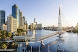 A white bridge spanning the Brisbane River with the city in the background.