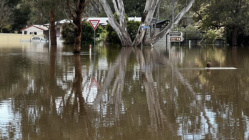 a flooded street and homes near a large tree in Murchison, Victoria