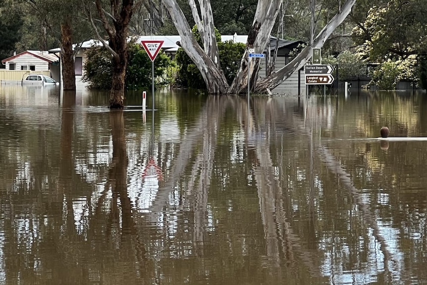 a flooded street and homes near a large tree in Murchison, Victoria
