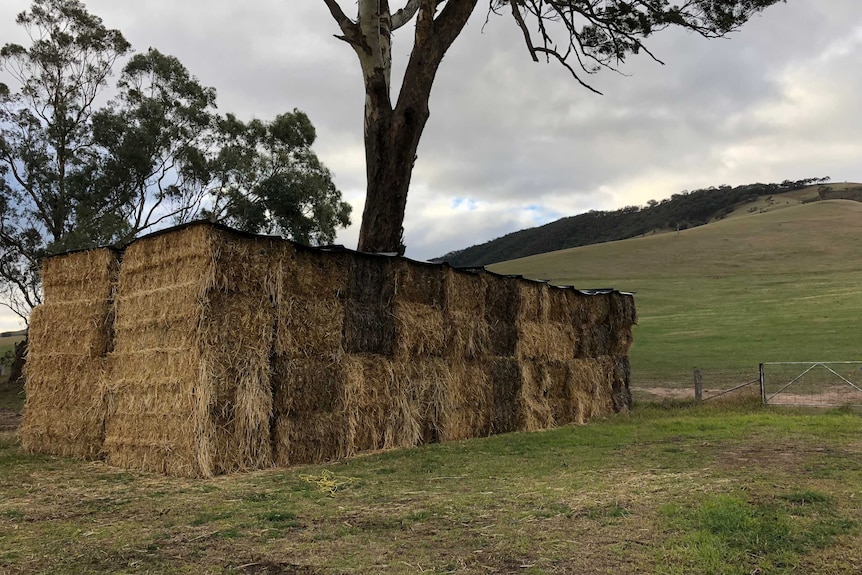 Hay stocks near Ensay East Gippsland