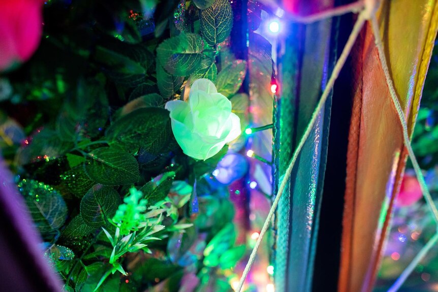 Plastic white rose and plastic leaves alongside christmas lights