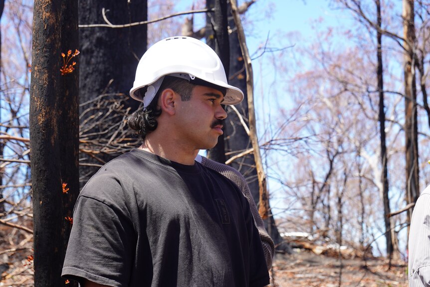 A young Indigenous man wearing a hardhat looks into the distance with burnt bushland in the backgrond.