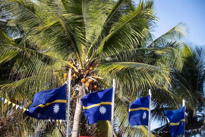 棕榈树前飘扬的瑙鲁国旗