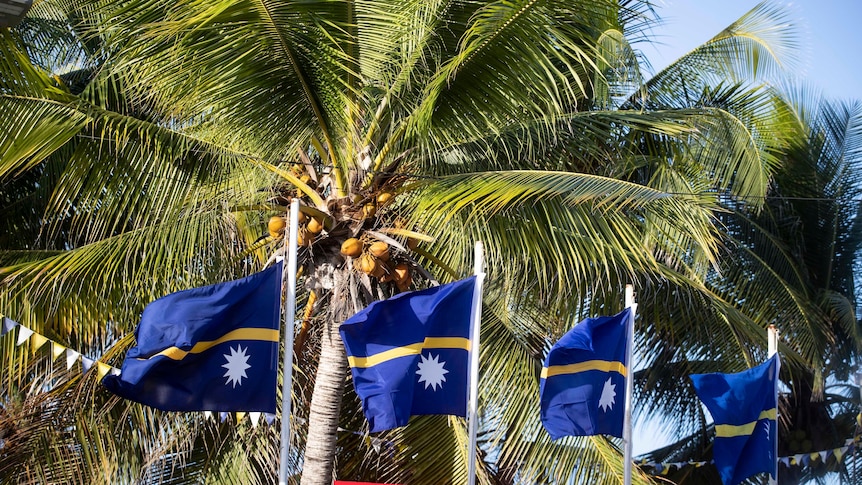 A series of Nauru flags fly in front of a palm tree.