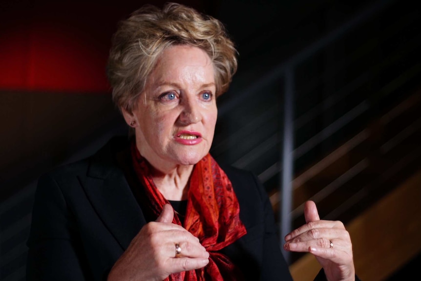 Alannah MacTiernan wearing a red scarf and black top sits in a room, talking to a journalist.