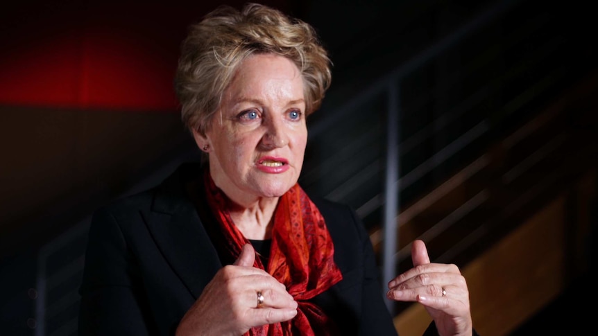 Alannah MacTiernan wearing a red scarf and black top sits in a room, talking to a journalist.