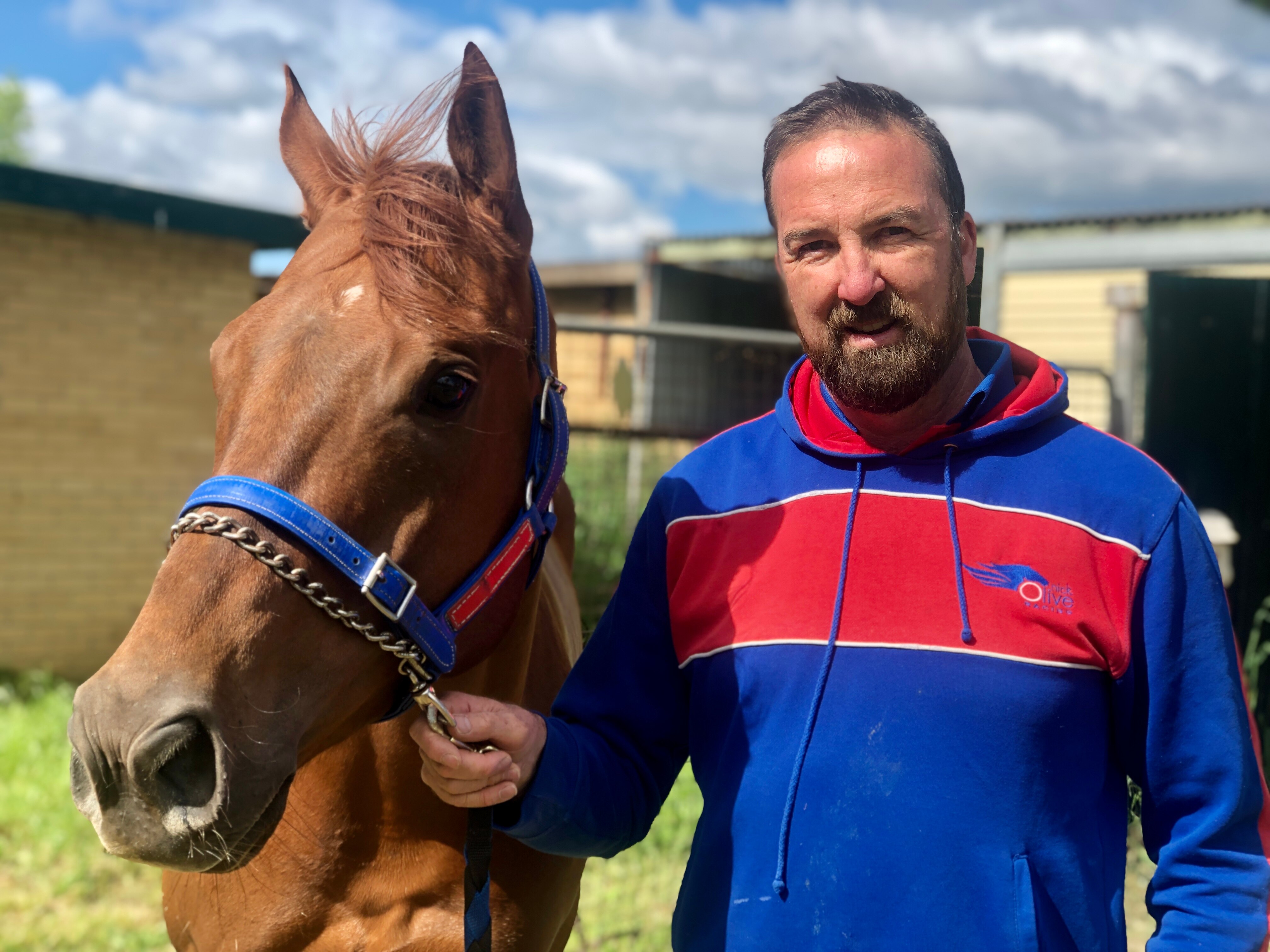 ACT government distances itself from plan to demolish Thoroughbred Park