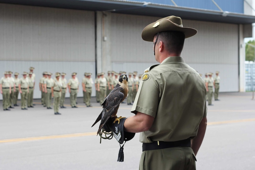 A falcon sits on a recruit's hand at a military parade.