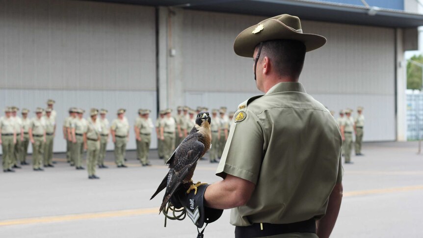 A falcon sits on a recruit's hand at a military parade.