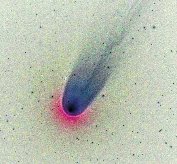 Comet Leonard in negative colour