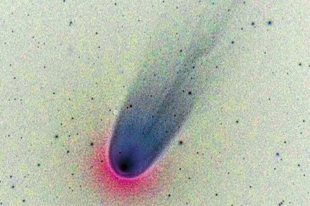 Comet Leonard in negative colour