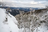 A person skis down a steep slope in Australia's snowy landscape.