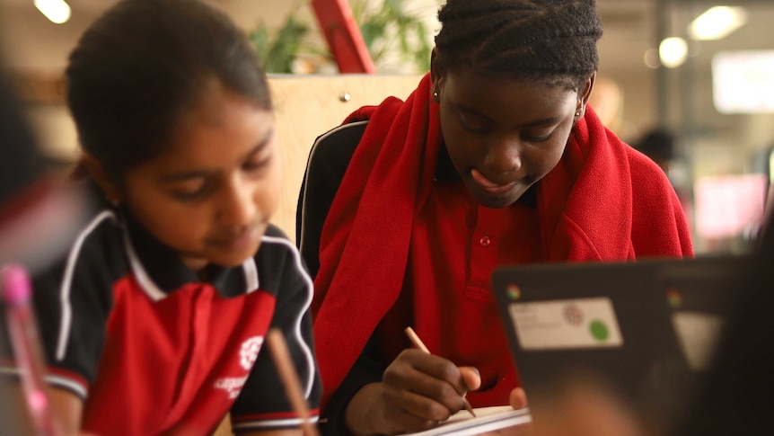 Students concentrate at their desks on school work.