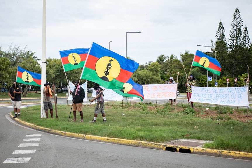 Protesters with flags