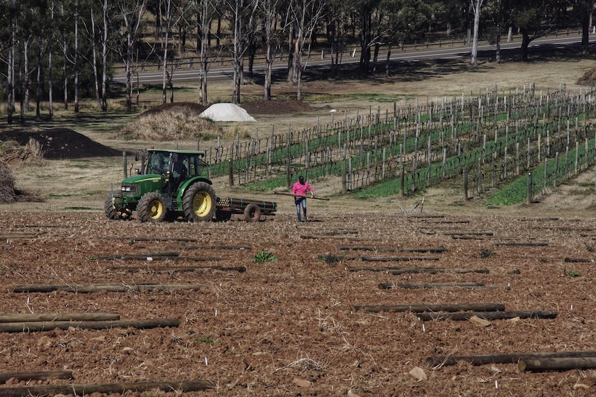 A man prepares a bare field with  a tractor.