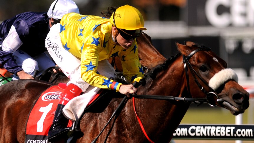 Last year Dunaden won the Geelong Cup before winning the Melbourne Cup in a photo finish.