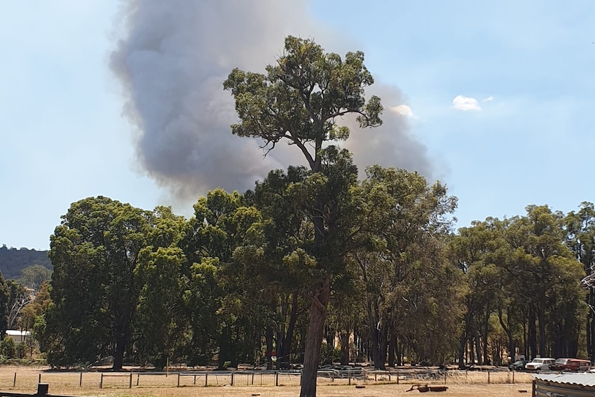 A paddock with hills in the background, with white smoke coming from the hills.