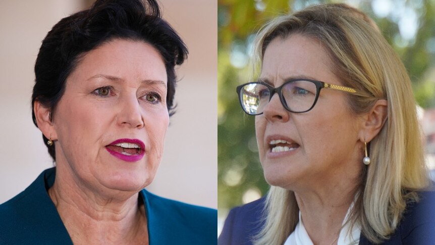 A composite image of WA Agriculture Minister Jackie Jarvis and WA Liberal leader Libby Mettam.
