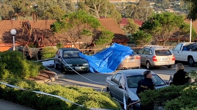 Tarpaulin over cars in parking area.