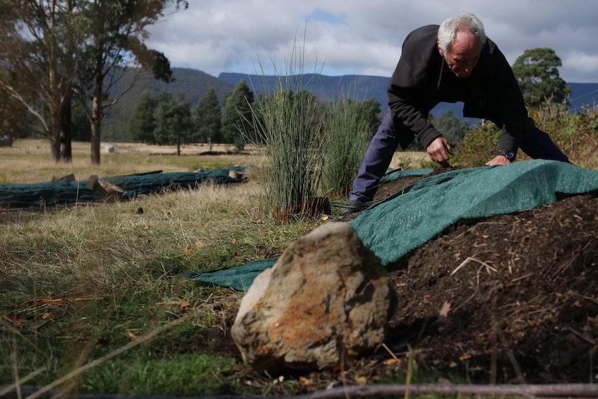 A man bends over a raised garden bed to check his worms