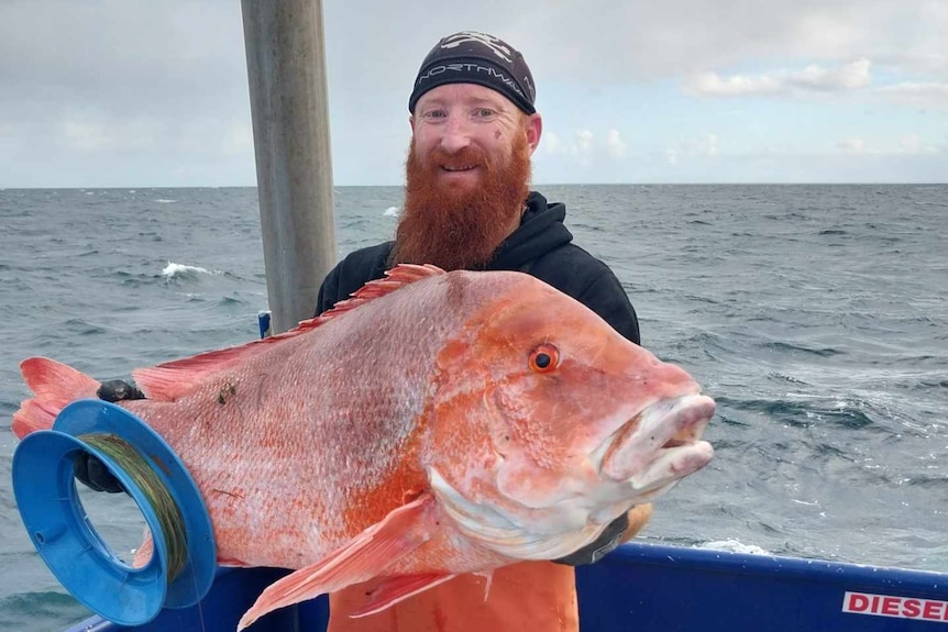 A man with a big red beard holds a very big red coloured fish