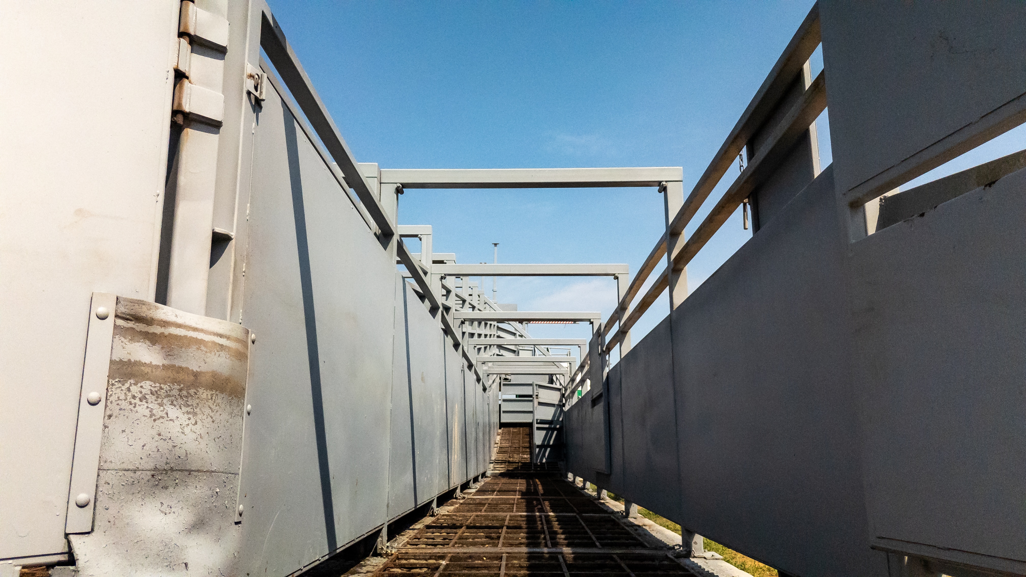 Una larga rampa para ganado desde el interior de la estructura con paredes metálicas en los laterales.