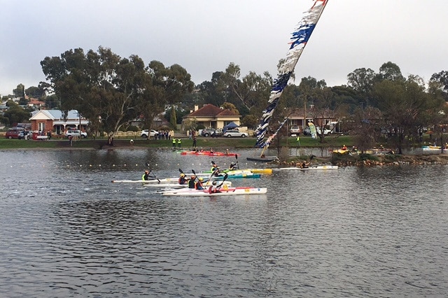 About six kayakers paddle down the Avon River in Northam during the Avon Descent.