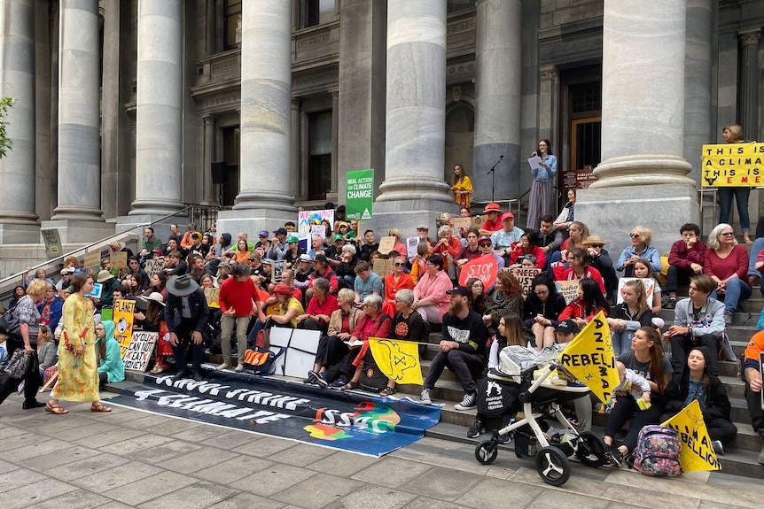 Hundreds gather on the steps of Adelaide Parliament.