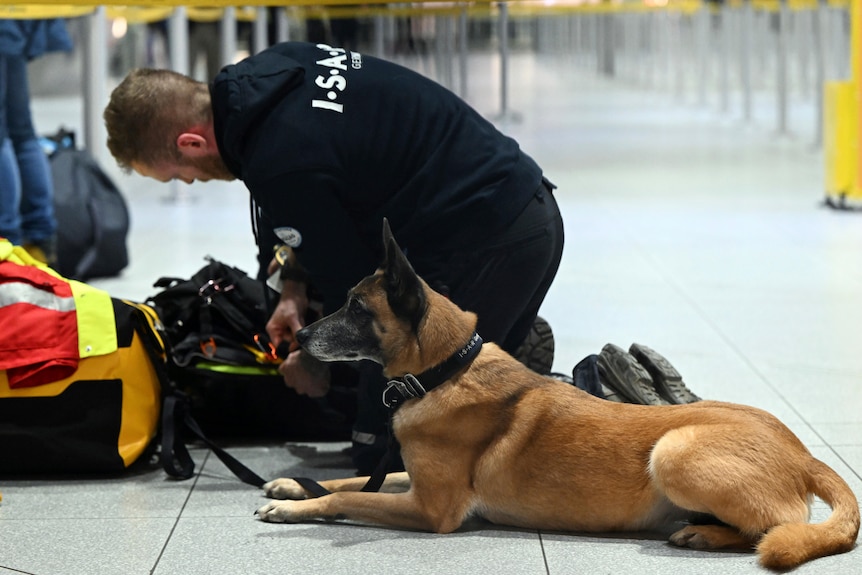 Dog sitting next to handler at airport.