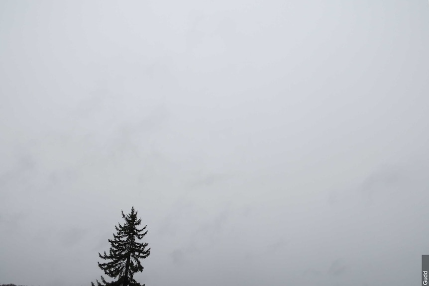 A nimbostratus cloud formation