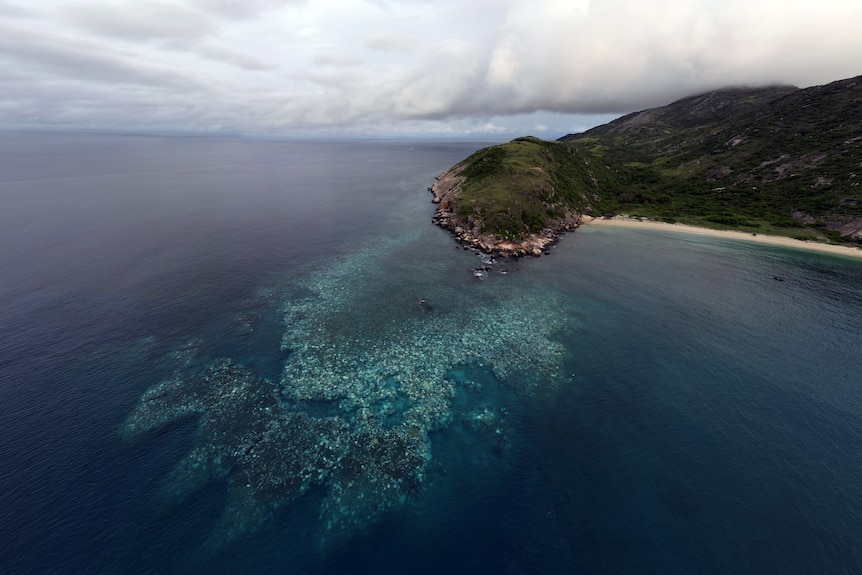 The reef is visible in this aerial shot of Lizard Point at the Great Barrier Reef.