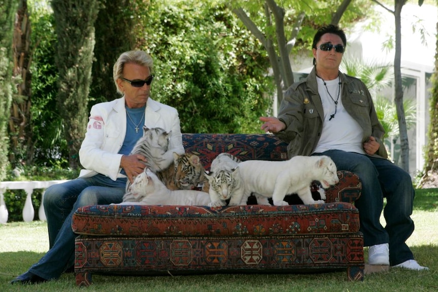 Two men sit on a couch with small tiger cubs next to them