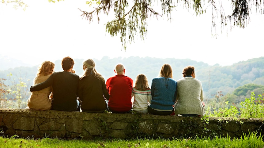 A rear view of multi-generation family relaxing in row on retaining wall against clear sky.