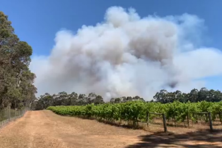 Smoke billowing near a vineyard at a winery