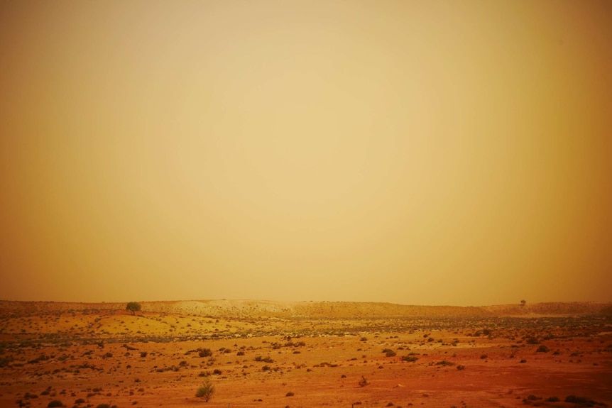 A dusty red desert.