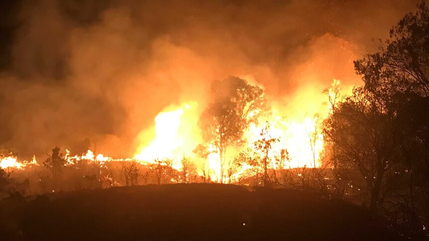Flames of a bushfire burning near Mt Larcom