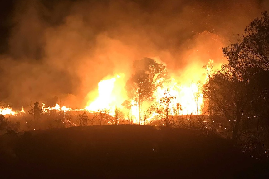 Flames of a bushfire burning near Mt Larcom